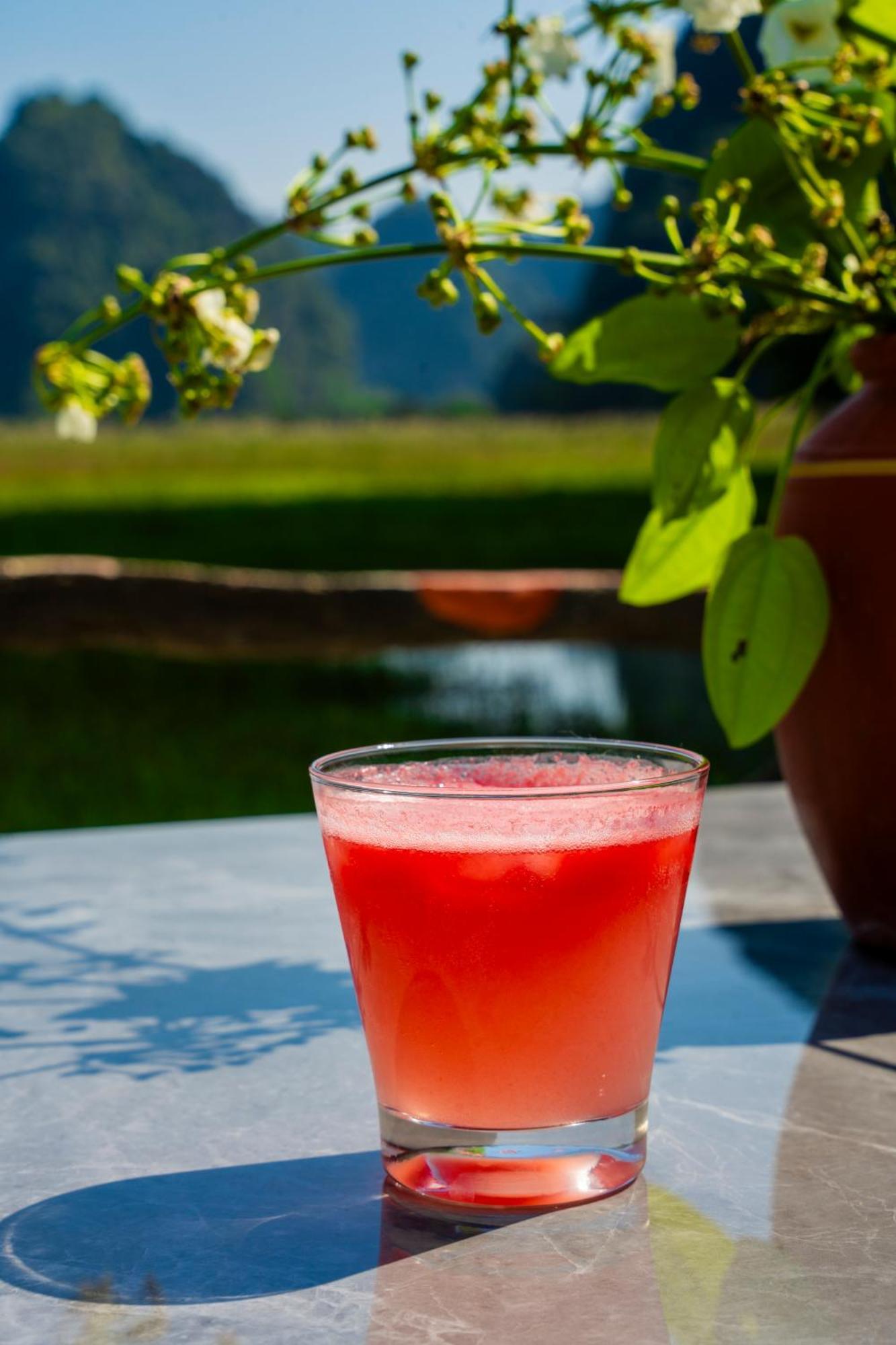 Lotus Field Homestay Ninh Binh Luaran gambar