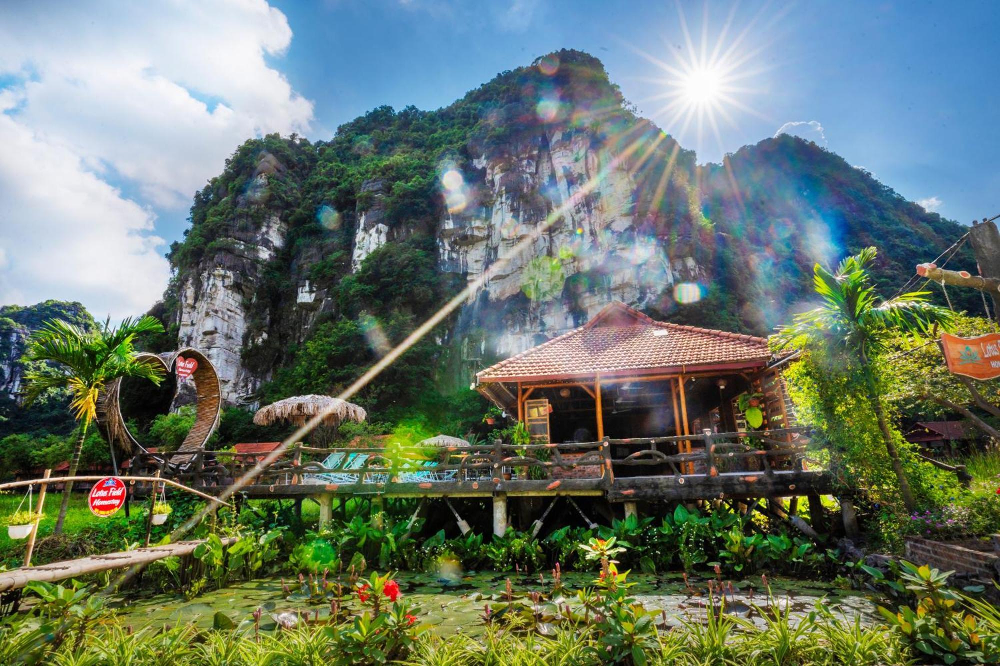 Lotus Field Homestay Ninh Binh Luaran gambar